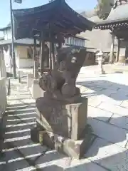 太田杉山神社・横濱水天宮の狛犬