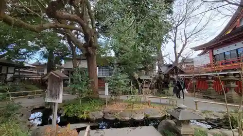 秩父神社(埼玉県)