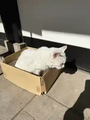 愛宕神社(東京都)
