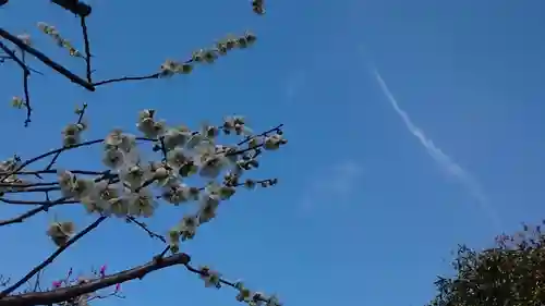 布多天神社(東京都)