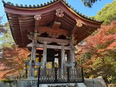 醍醐寺(京都府)