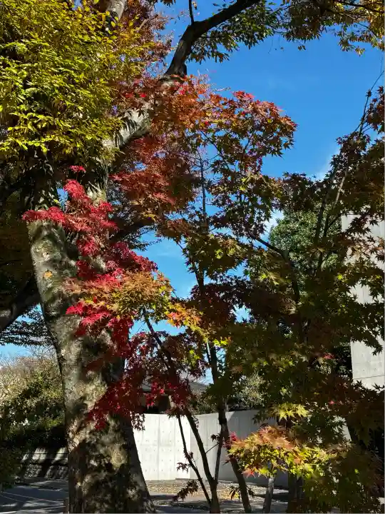武蔵一宮氷川神社(埼玉県)
