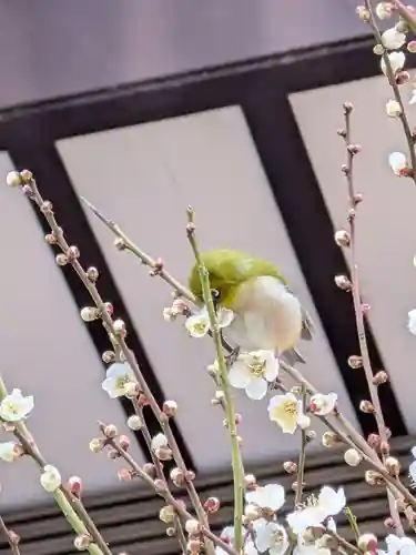 熊野神社(東京都)