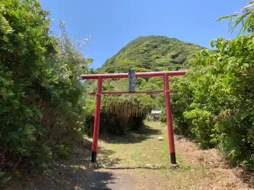 野中神社の鳥居