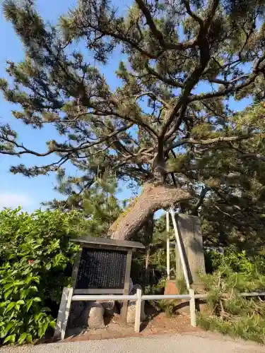 御穂神社の{uncategorized: "未分類", other: "その他", undefined: "問題あり", building: "その他建物", grave: "お墓", sacred_gate: "鳥居", guardian: "狛犬", statue: "像", buddha: "仏像", history: "歴史", nature: "自然", garden: "庭園", animal: "動物", pagoda: "塔", temizu: "手水舎", mountain_gate: "山門・神門", sanctuary: "本殿・本堂", subordinate: "末社・摂社", art: "芸術", scenery: "景色", jizo: "地蔵", ema: "絵馬", goshuin: "御朱印", omikuji: "おみくじ", items: "授与品その他", amulet: "お守り", goshuincho: "御朱印帳", eats: "食事", festival: "お祭り", votive_dance: "神楽", shichigosan: "七五三参", wedding: "結婚式", experience: "体験その他", initially: "初詣", around: "周辺", anti_infection: "感染症対策"}