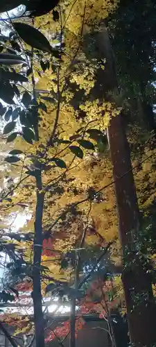 龍潭寺(静岡県)