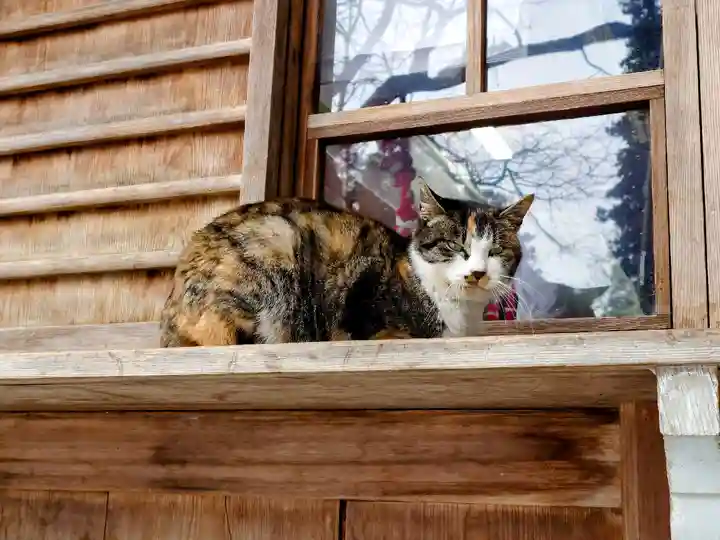 伊佐須美神社の動物