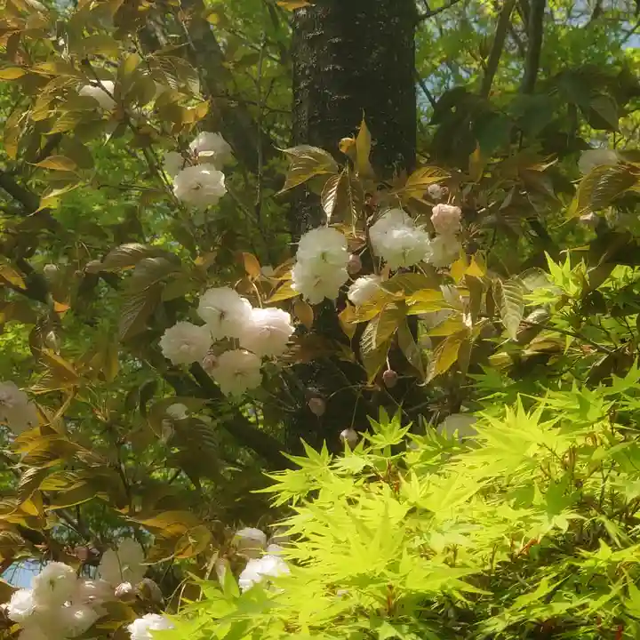 篠ケ谷神社(岐阜県)