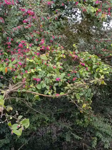 常盤神社(山口県)