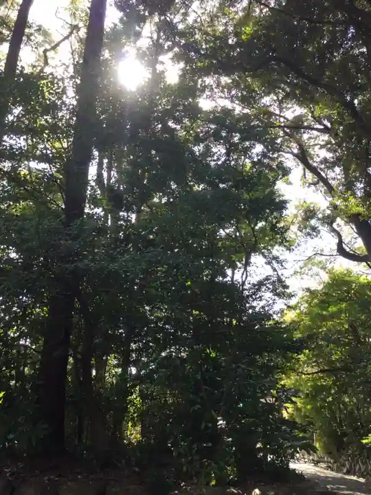 月讀宮(皇大神宮別宮)の自然