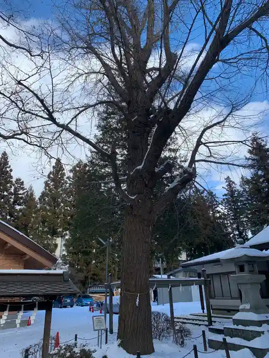住吉神社の自然