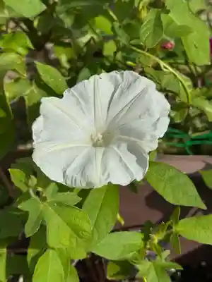 神炊館神社 ⁂奥州須賀川総鎮守⁂(福島県)