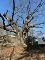 新田神社(群馬県)