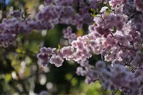 土津神社｜こどもと出世の神さまの自然