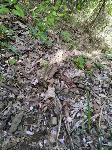 慈眼寺の庭園