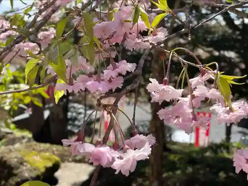 東円寺(山梨県)