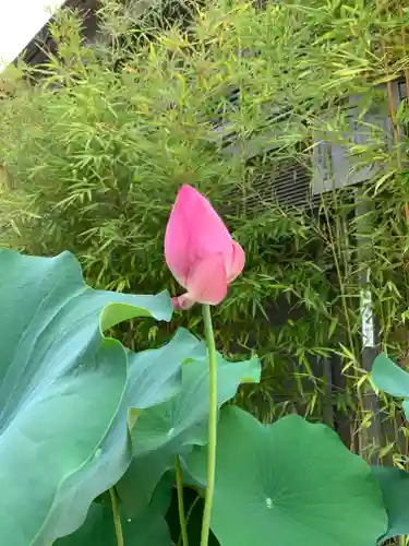 生田神社の自然