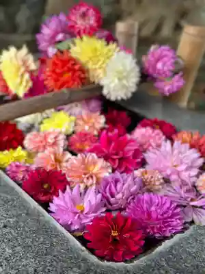 高司神社〜むすびの神の鎮まる社〜(福島県)