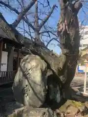 櫻宮の建物その他