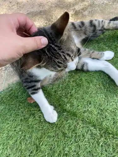 王子神社(徳島県)