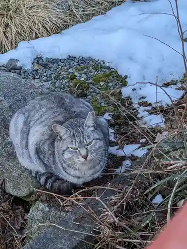 櫻山神社(岩手県)