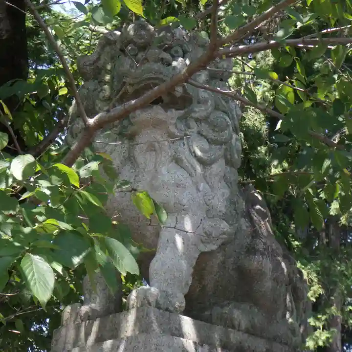 針綱神社の狛犬
