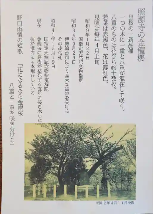 照源寺(三重県)