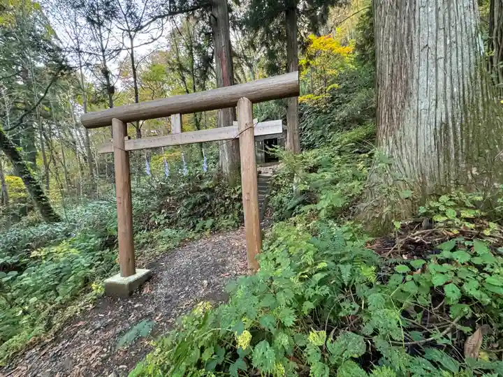 戸隠神社九頭龍社(長野県)