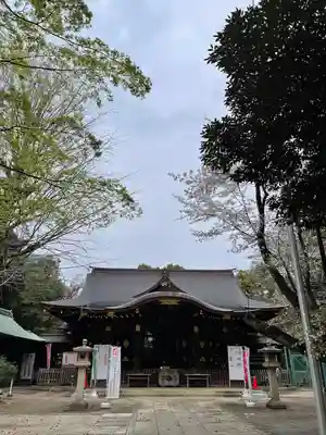渋谷氷川神社の本殿・本堂