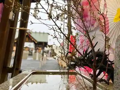 札幌諏訪神社の手水舎