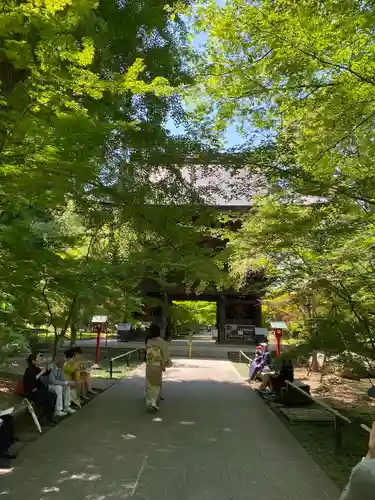 淨眞寺の山門・神門