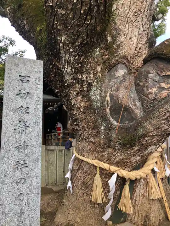 石切劔箭神社の自然
