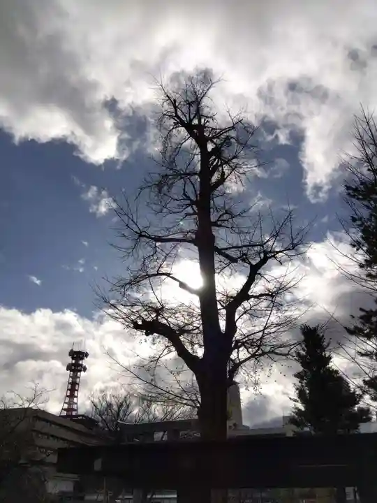 福井神社(福井県)