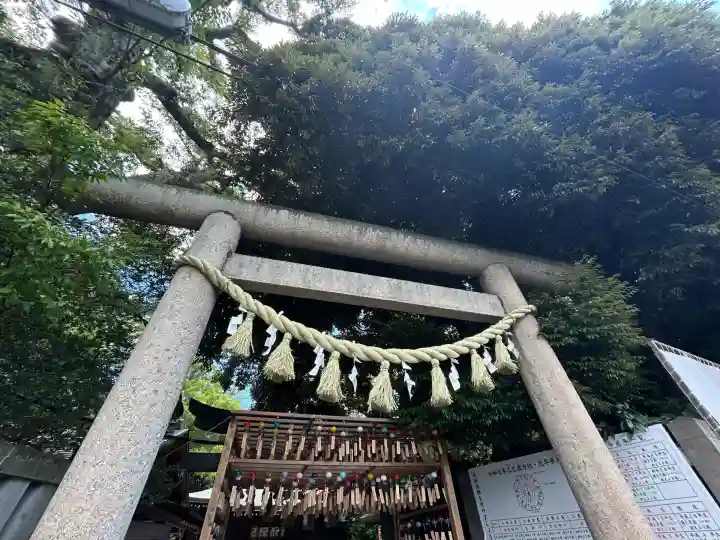 川越氷川神社(埼玉県)