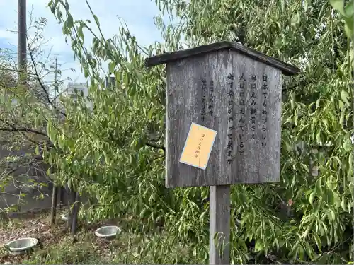 四季桜の寺 妙乗院(愛知県)