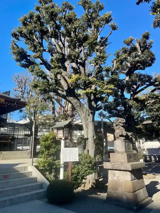 大鳥神社の{uncategorized: "未分類", other: "その他", undefined: "問題あり", building: "その他建物", grave: "お墓", sacred_gate: "鳥居", guardian: "狛犬", statue: "像", buddha: "仏像", history: "歴史", nature: "自然", garden: "庭園", animal: "動物", pagoda: "塔", temizu: "手水舎", mountain_gate: "山門・神門", sanctuary: "本殿・本堂", subordinate: "末社・摂社", art: "芸術", scenery: "景色", jizo: "地蔵", ema: "絵馬", goshuin: "御朱印", omikuji: "おみくじ", items: "授与品その他", amulet: "お守り", goshuincho: "御朱印帳", eats: "食事", festival: "お祭り", votive_dance: "神楽", shichigosan: "七五三参", wedding: "結婚式", experience: "体験その他", initially: "初詣", around: "周辺", anti_infection: "感染症対策"}