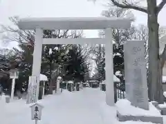 新琴似神社(北海道)