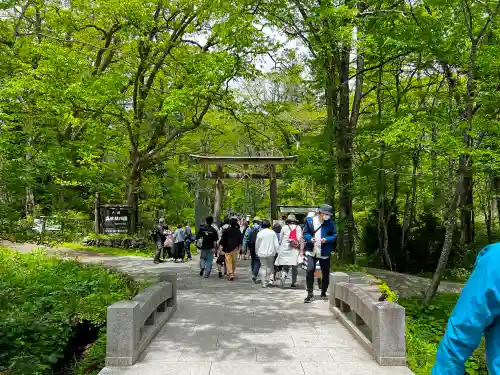 戸隠神社奥社(長野県)