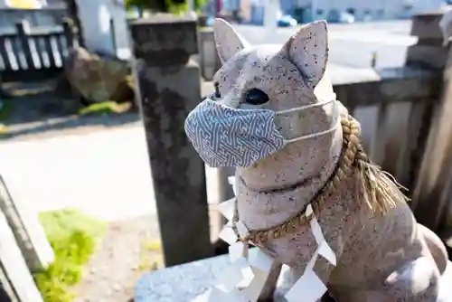 今泉八坂神社の狛犬