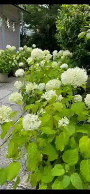 坐摩神社(大阪府)