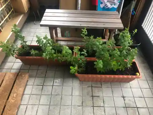 宝壽山 吉祥院(北海道)