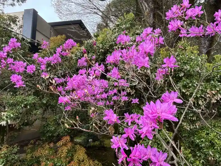砥鹿神社(里宮)(愛知県)