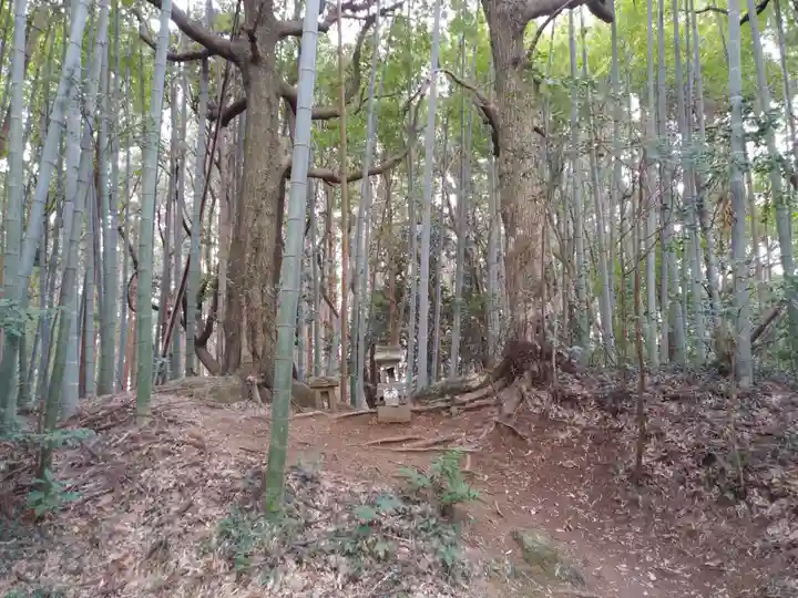松尾神社の周辺