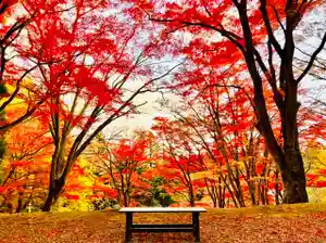 土津神社|こどもと出世の神さまの自然(2021年11月07日(日) 09時17分45秒投稿)