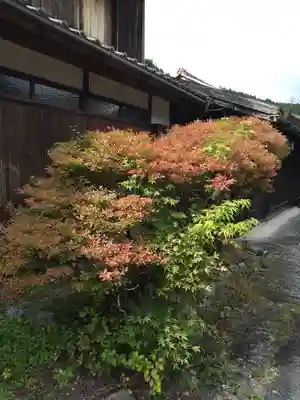 熊野神社(岐阜県)