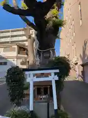 白光大神 (大阪府)