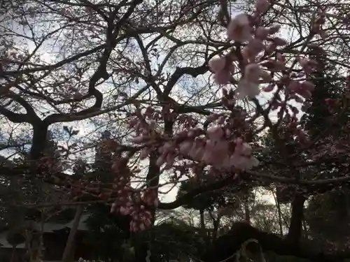 高麗神社の自然