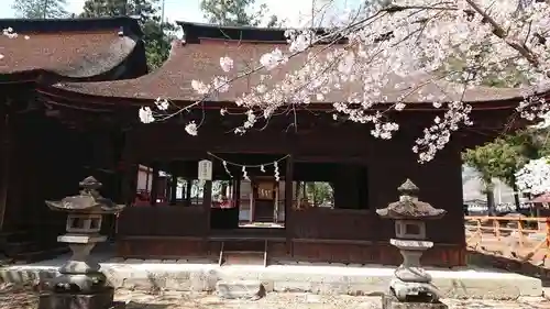 大井俣窪八幡神社の本殿