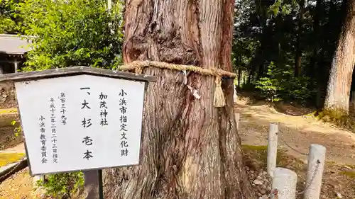 加茂神社(福井県)