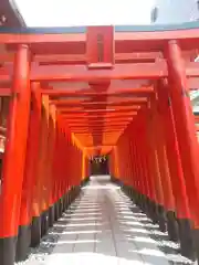 東京羽田 穴守稲荷神社の鳥居